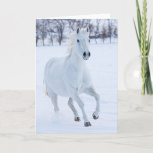 Vita hästar som springer i Snö Kort
