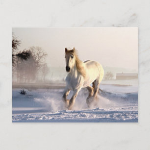 Vita hästgalloping genom vintern Snö Vykort