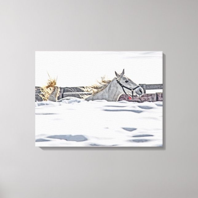 Vita hästgalloping i Snö Canvastryck (Framsida)