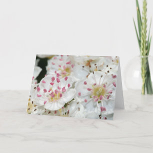 Vita Hawthorn Flowers Greeting Card Kort