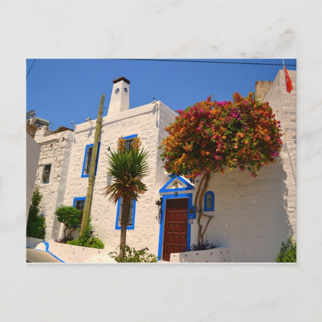 Vita huset med blå dörr vykort (Framsida)