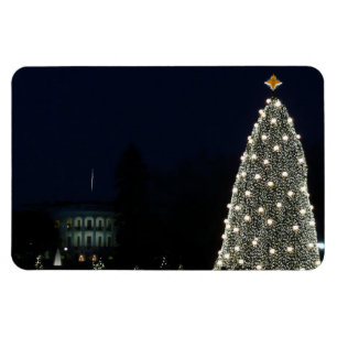 Vita huset och Träd-Helgdag DC Magnet