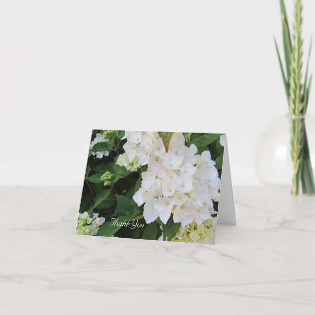 Vita Hydrangea Tack Kort (Framsida)