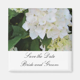 Vita Hydrangeas Magnet
