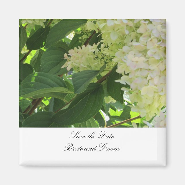 Vita Hydrangeas Spara datum Magnet (Framsidan)