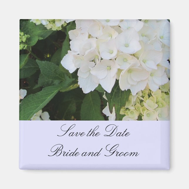 Vita Hydrangeor Magnet (Framsidan)