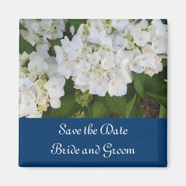 Vita Hydrangeor med Marinblå Kant Magnet (Framsidan)