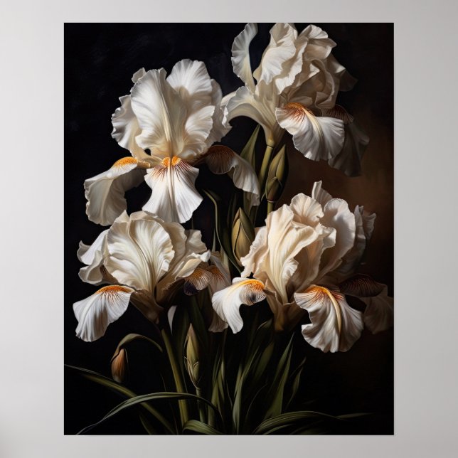 Vita Irisblommor Konsttryck Poster (Framsidan)