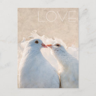 Vita issing Doves - anpassadet Kärlek Vykort