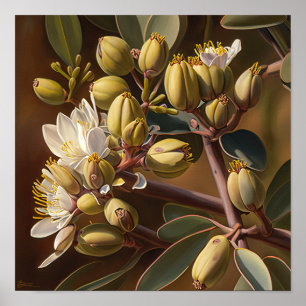 Vita Jojoba Blommor Konsttryck Poster