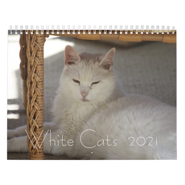 Vita katter 2021 kalender (Omslag)