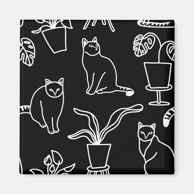 Vita katter i svart magnet (Framsidan)