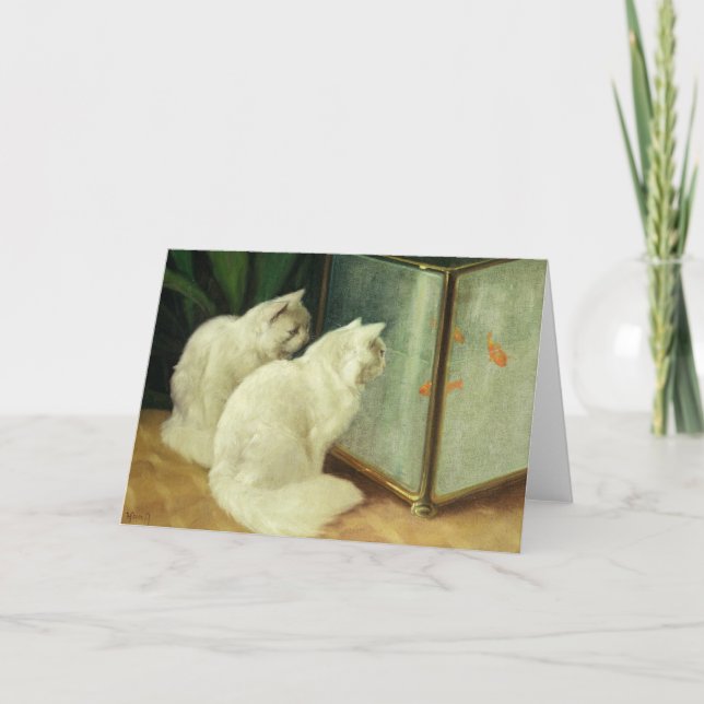 Vita katter som tittar på guldfisk kort (Framsida)