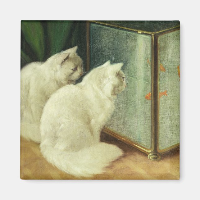 Vita katter som tittar på guldfisk magnet (Framsidan)