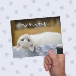 Vita Kitten Welcome Back to school-meddelandekort Inbjudningar