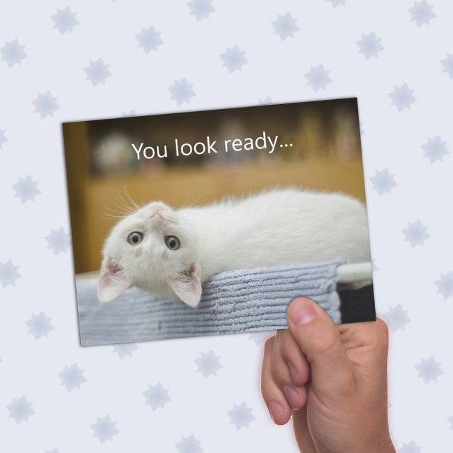 Vita Kitten Welcome Back to school-meddelandekort Inbjudningar (Skapare uppladdad)
