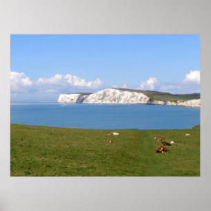 Vita klippor på Isle of Wight Poster