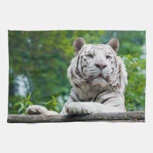 Vita kökshanddukar till tigerköket