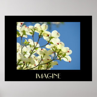 VITA KORNELLTRÄD BLOMMOR Konsttryck Kontor Poster