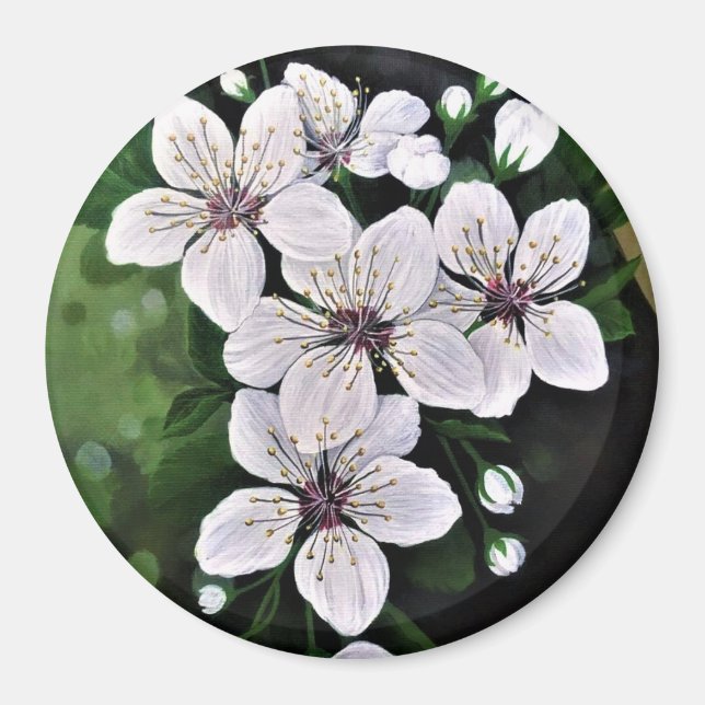 Vita körsbärsblommor i akrylat magnet (Framsidan)