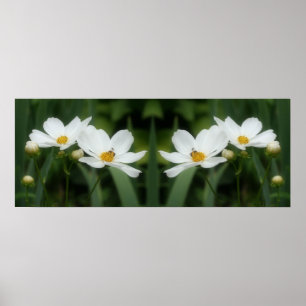 Vita kosmosblommor och Abstrakten Bee Spegel Poster