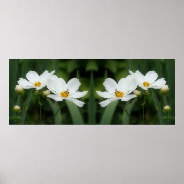 Vita kosmosblommor och Abstrakten Bee Spegel Poster (Framsidan)