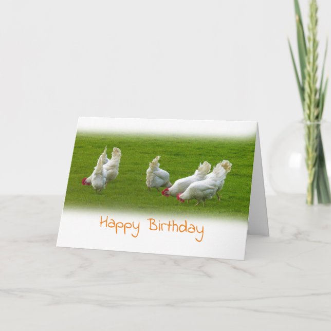Vita kycklingar Birthday card Kort (Framsida)