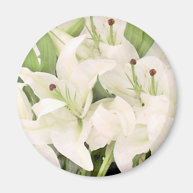 Vita Lilies,Lilies of kärlek_ Magnet (Framsidan)