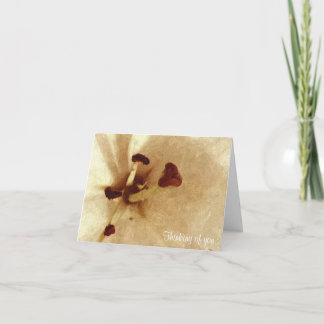 Vita Lilly-målning som Sympathy Card Kort