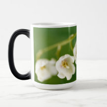Vita Lily of the valley (Convallaria majalis)