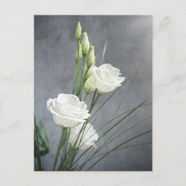 Vita Lisianthus White Flowers-vykort Vykort