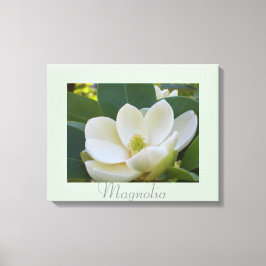 Vita Magnolia Flowers Art Naturfotografi Canvastryck