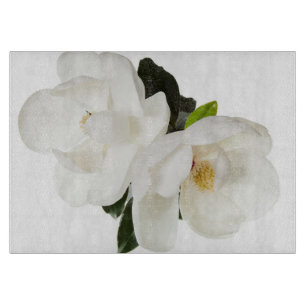 Vita Magnolias Blommigt Blommor
