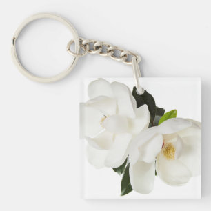 Vita Magnolias Blommigt Blommor