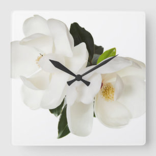 Vita Magnolias Blommigt Blommor Fyrkantig Klocka