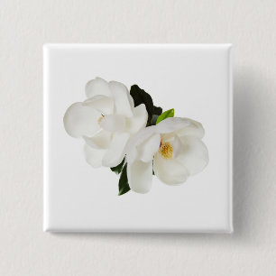 Vita Magnolias Blommigt Blommor Knapp