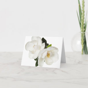 Vita Magnolias Blommigt Blommor Kort
