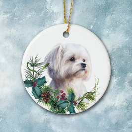 Vita Maltesiska Hund Holly Wandeans Julgransprydnad Keramik