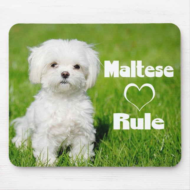 Vita maltesiska marionerna Hund Kärlek Musmatta (Framsidan)