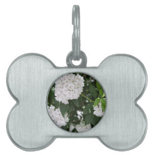 Vita Mountain Laurel Stjärnformade Blommor Husdjur ID-bricka Husdjur