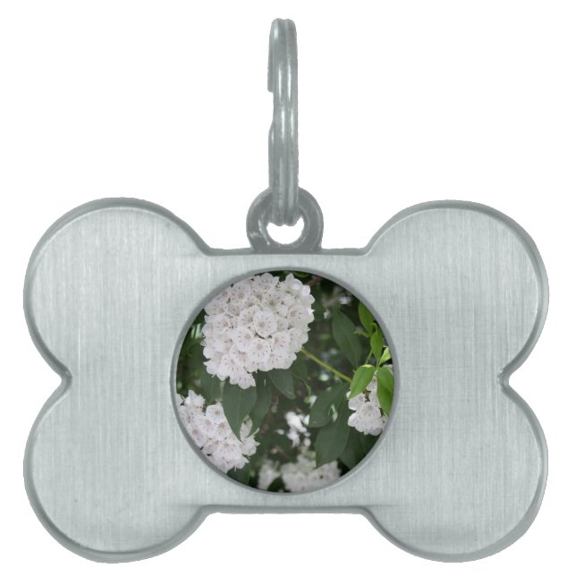 Vita Mountain Laurel Stjärnformade Blommor Husdjur ID-bricka Husdjur (Framsidan)