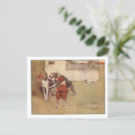 Vita Öar- och Peter-vykort Vykort