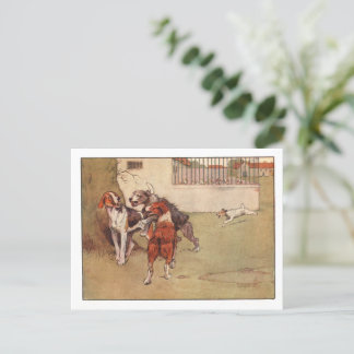 Vita Öar- och Peter-vykort Vykort