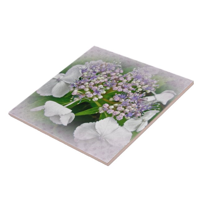 Vita och blå Hydrangea Flowers Kakelplatta (Sidan)