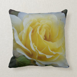 Vita och Gul ros Kudde
