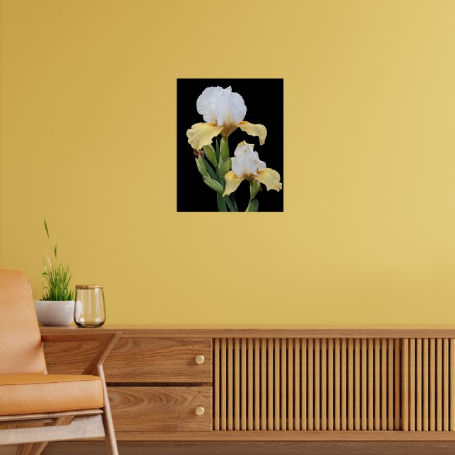 Vita och gula iris på svart blommotiv poster (Vardagsrum 2)