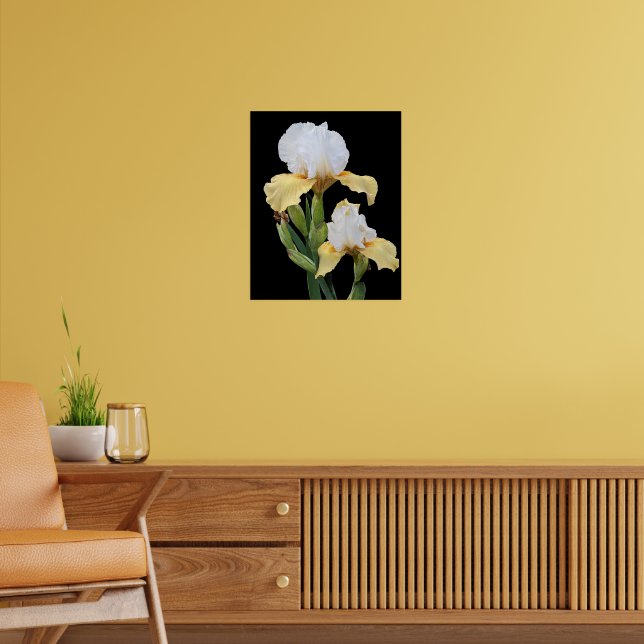 Vita och gula Irisar Blommor Poster (Vardagsrum 2)