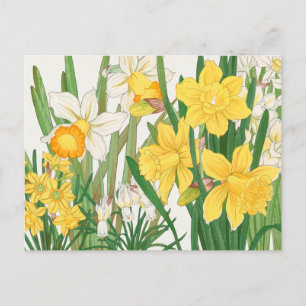 Vita och Gult Daffodil Flowers Garden Delight Vykort