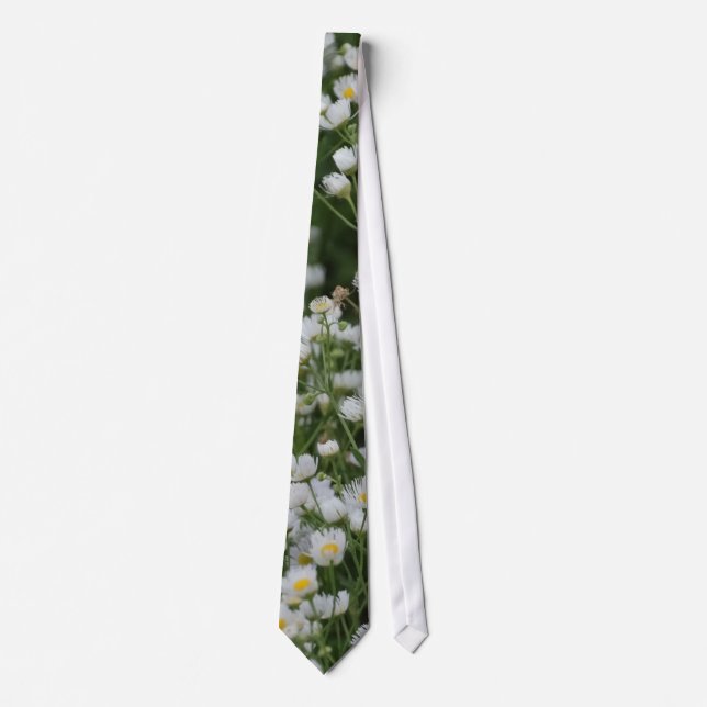 Vita och Gult Mini Daisy Aster-blommor Slips (Framsida)