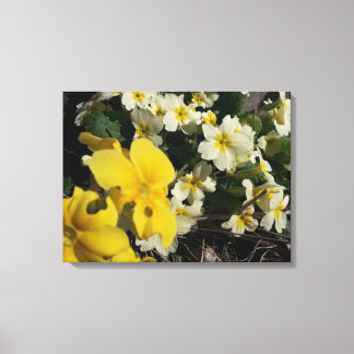 Vita och gult trädgårdsblommor canvastryck